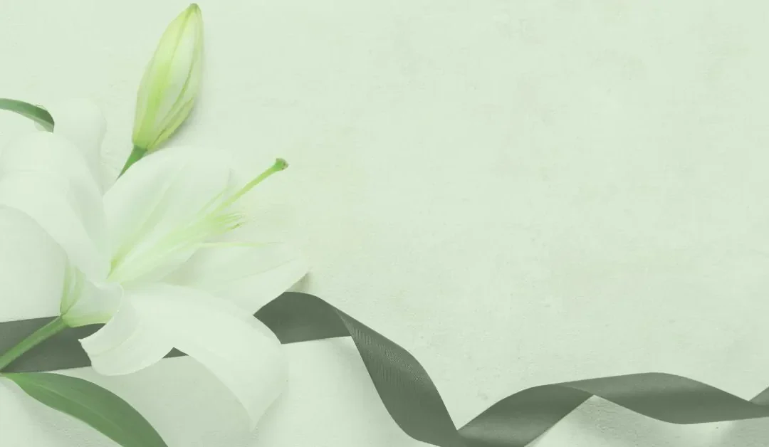 Bereavement One Year On