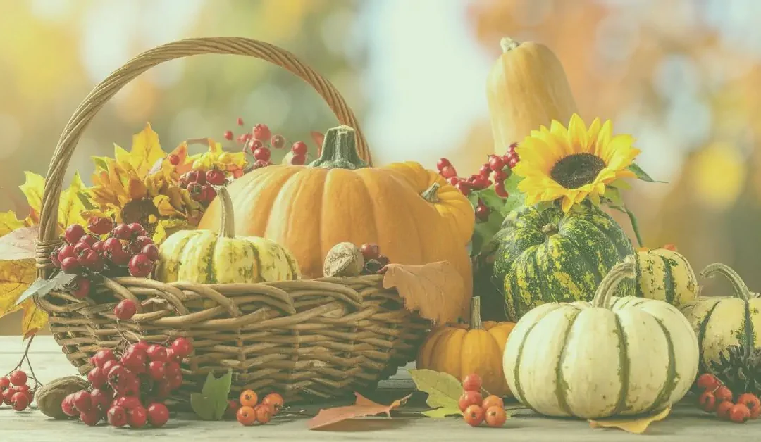 Thanksgiving Wishes with a touch of envy